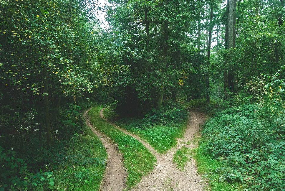 6 Steps to Decision