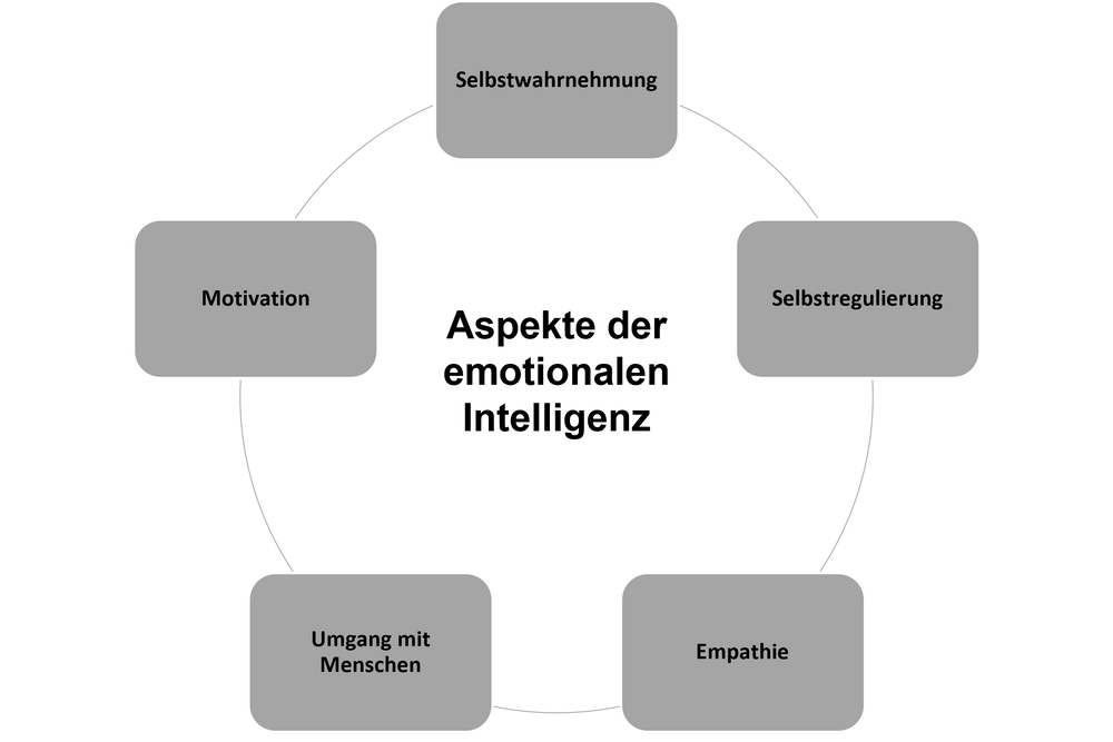 pasted-image-1740476198798.png